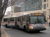 Neoplan AN460A 5305