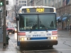 Neoplan AN460A 5308