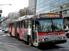Neoplan AN460A 5313