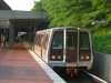 CAF 5036