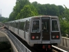 CAF 5010